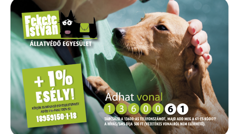 Fekete István Állatvédő Egyesület adhat vonal kutya