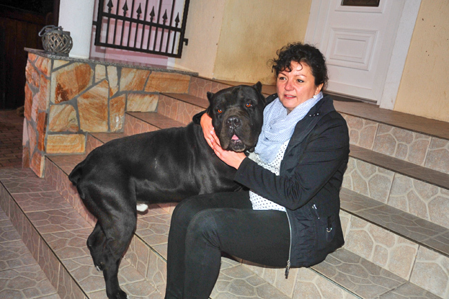 Dr. Kovács Mirella, Mohács jegyzője