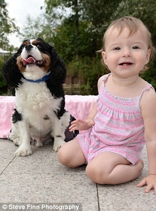Chloe és Louie, a spániel jó barátokká váltak