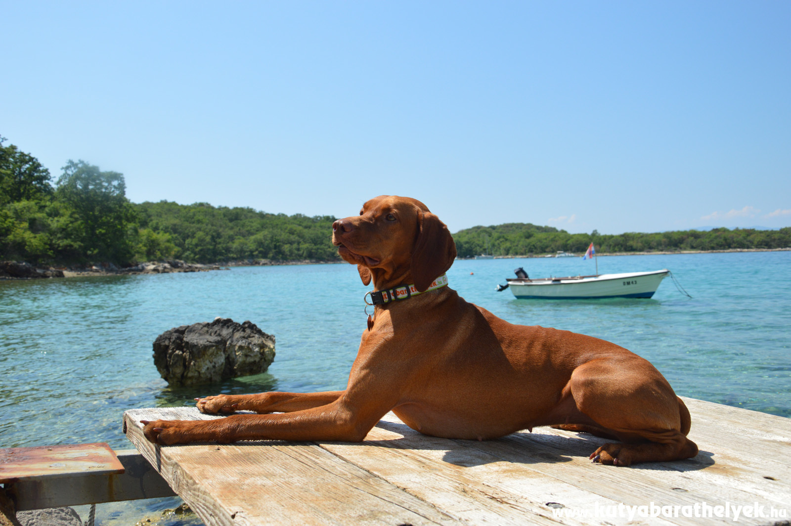 A nyaraláson is jó biztonságban tudni magunkat és kedvencünket