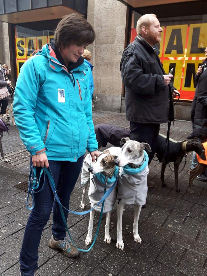 Eszter és mentett agarai a kölni felvonuláson