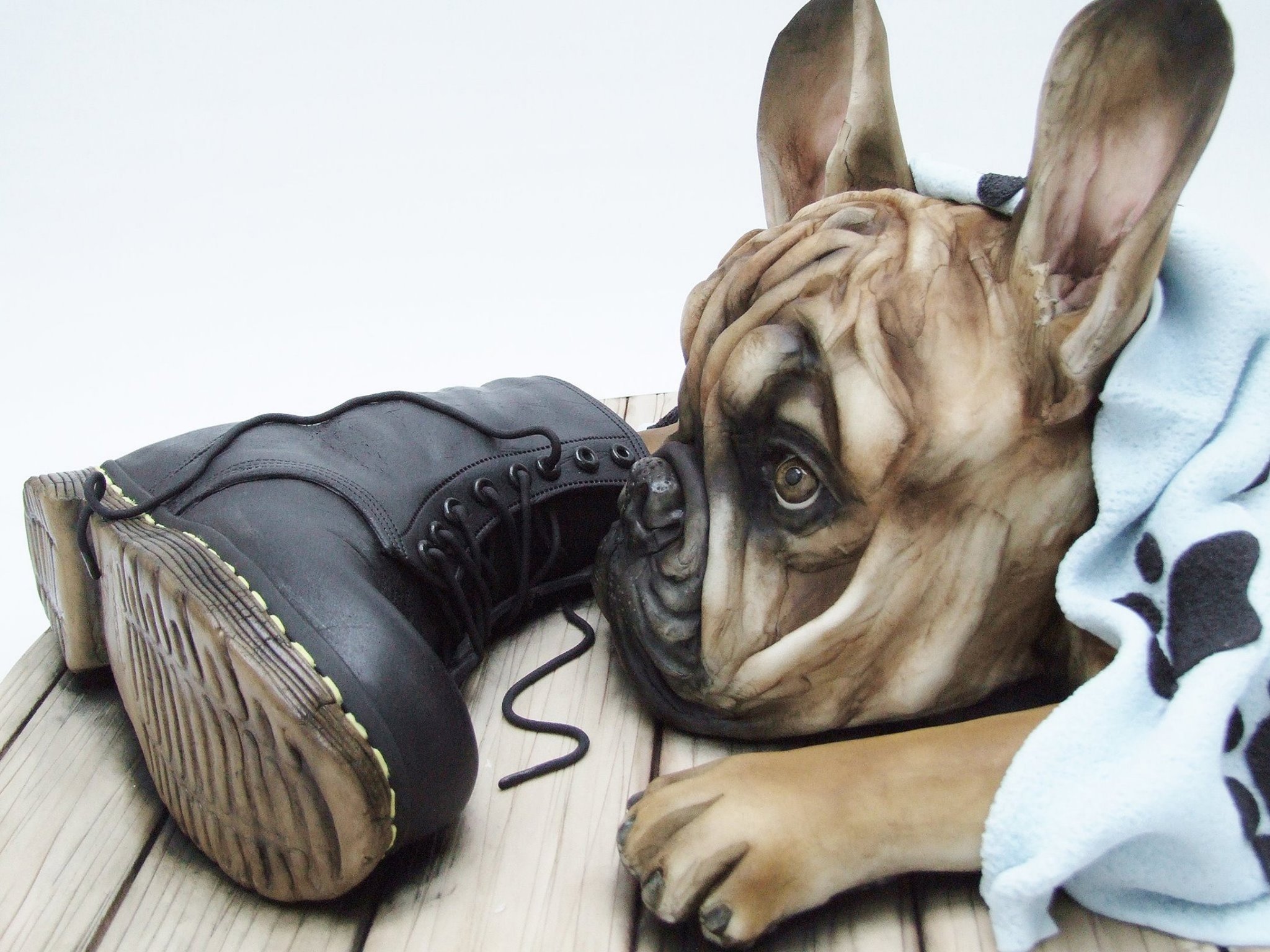 Francia bulldog - torta