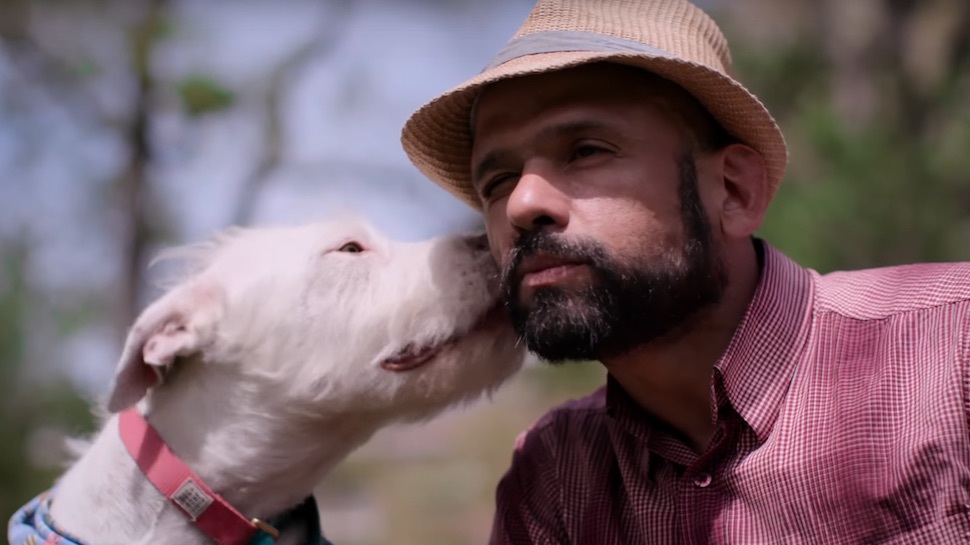 Kutyáink ugyanúgy gondoskodnak rólunk, mint mi róluk