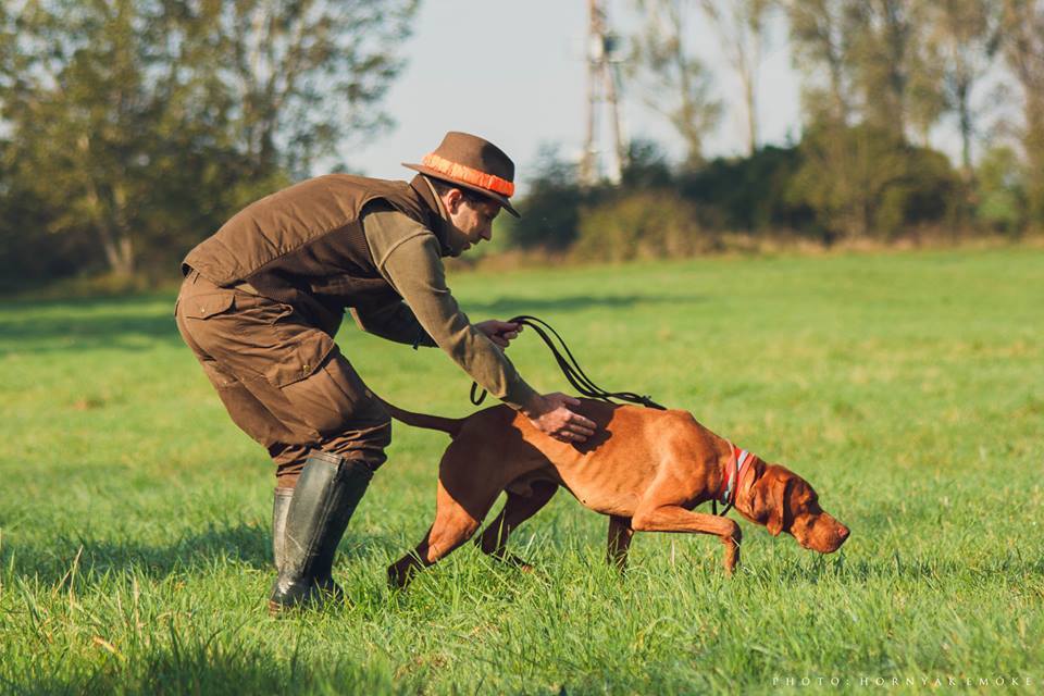 Szikra vonszalékmunkán