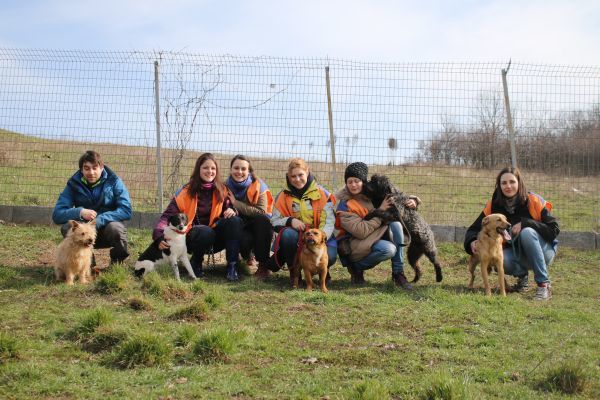 A menhelysuli első csoportja