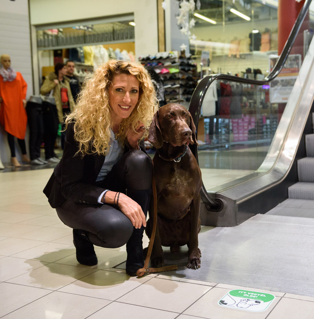 Kutyabarát AsiaCenter - 2