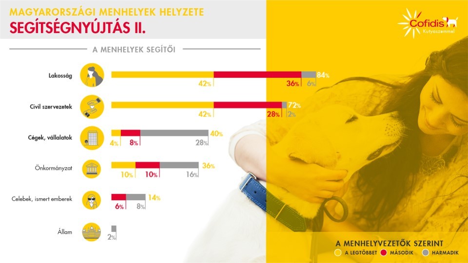 Segítségnyújtás a magyar menhelyeknek