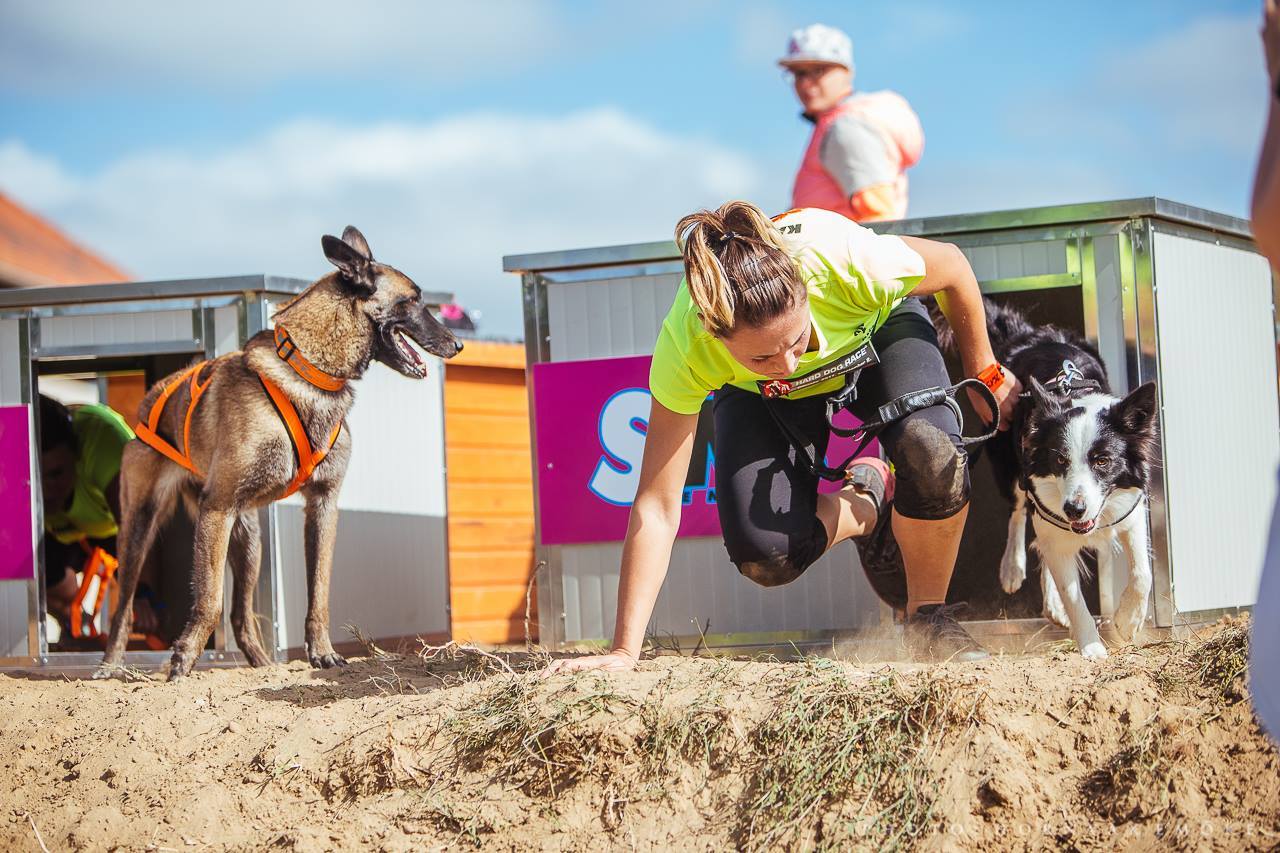 Gazdi a kutyaházban!
