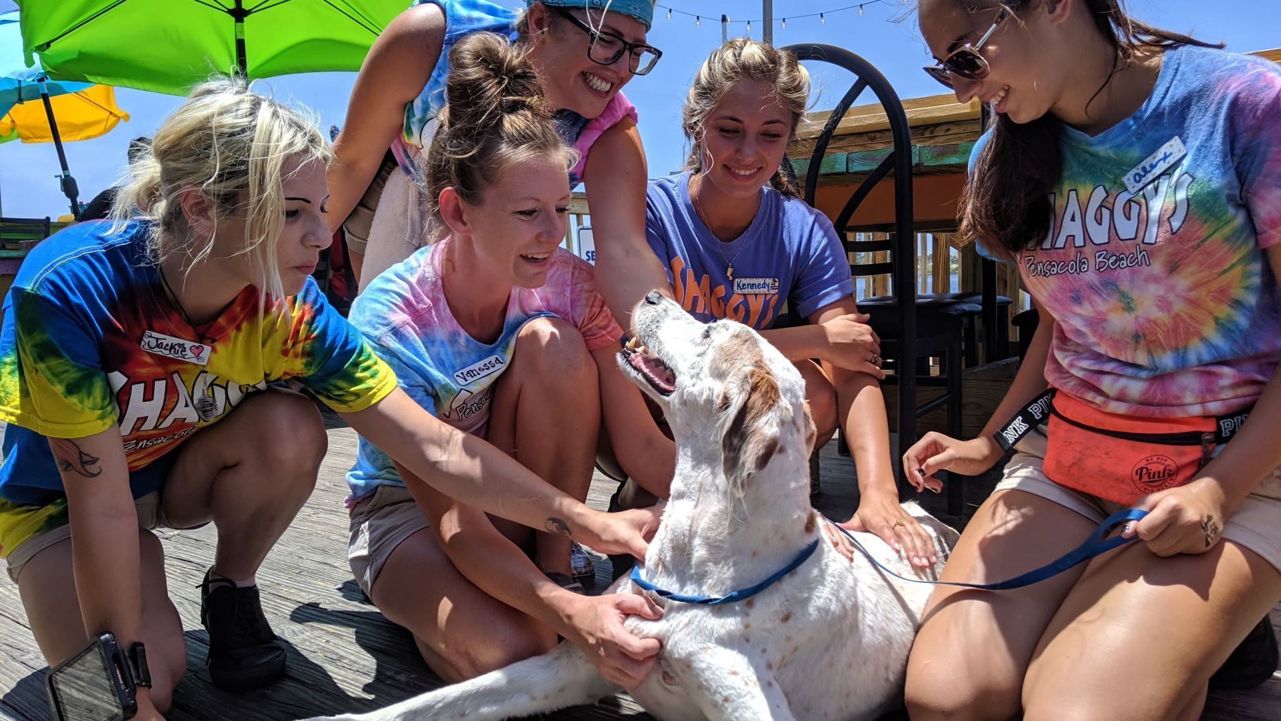 Wilson nem csak az ebédet élvezte, hanem a rengeteg simogatást is