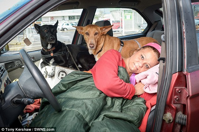 Hillary Barrows és kutyái