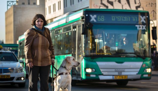 tömegközlekedés kutyával
