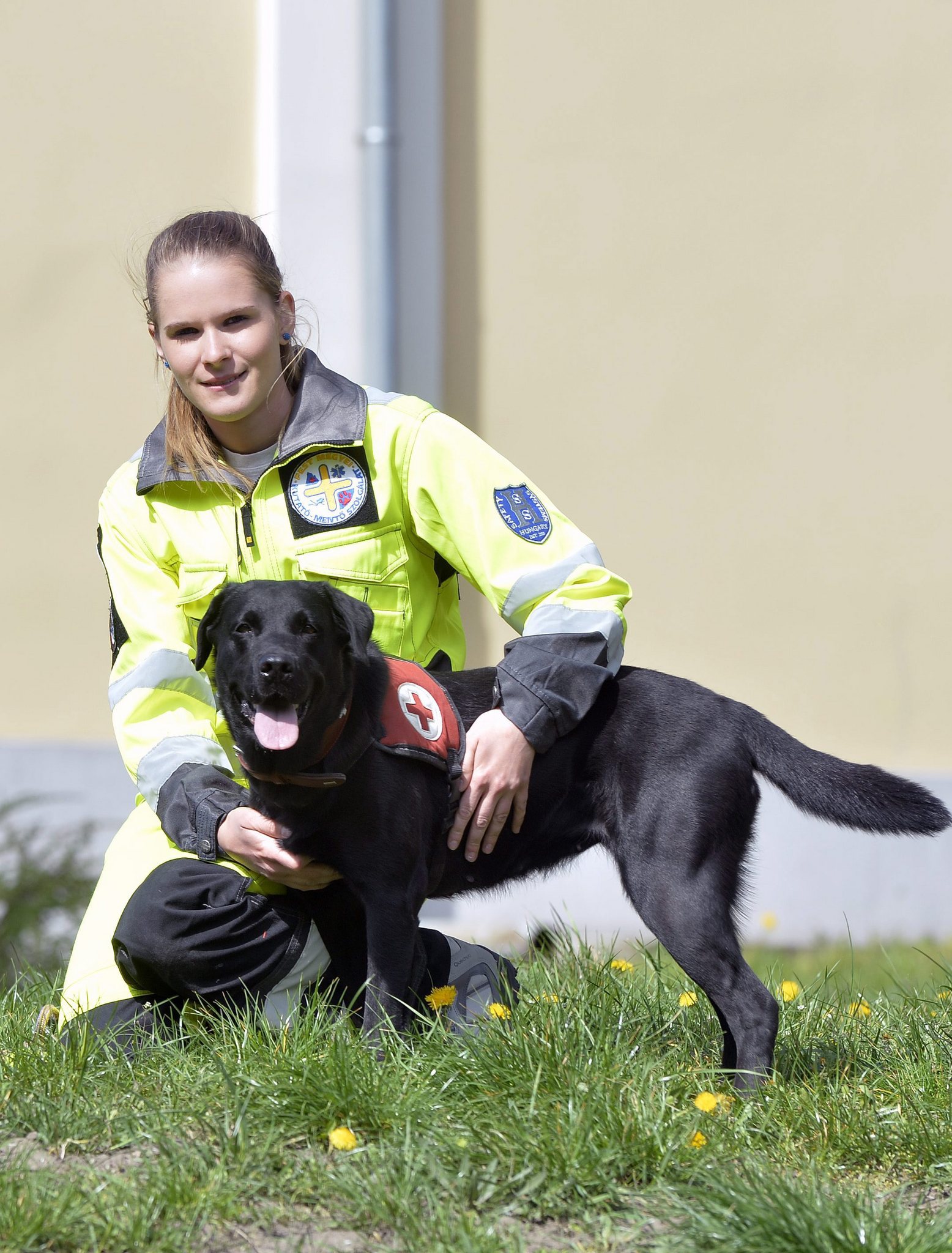 Drazsé a mentőkutya