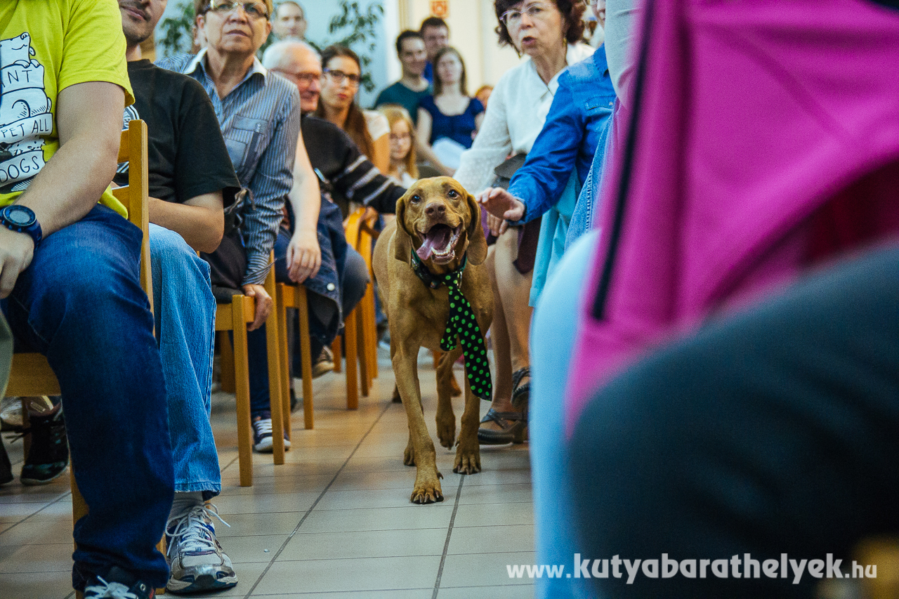 Demény büszkén vonult be hívei közé