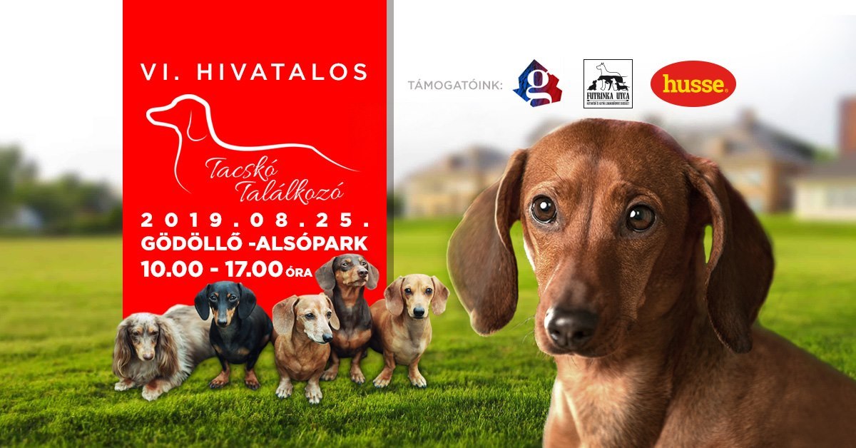 VI. Hivatalos Tacskó Találkozó