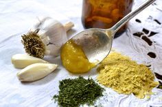 Természetes antibiotikumok kutyának, és gazdának