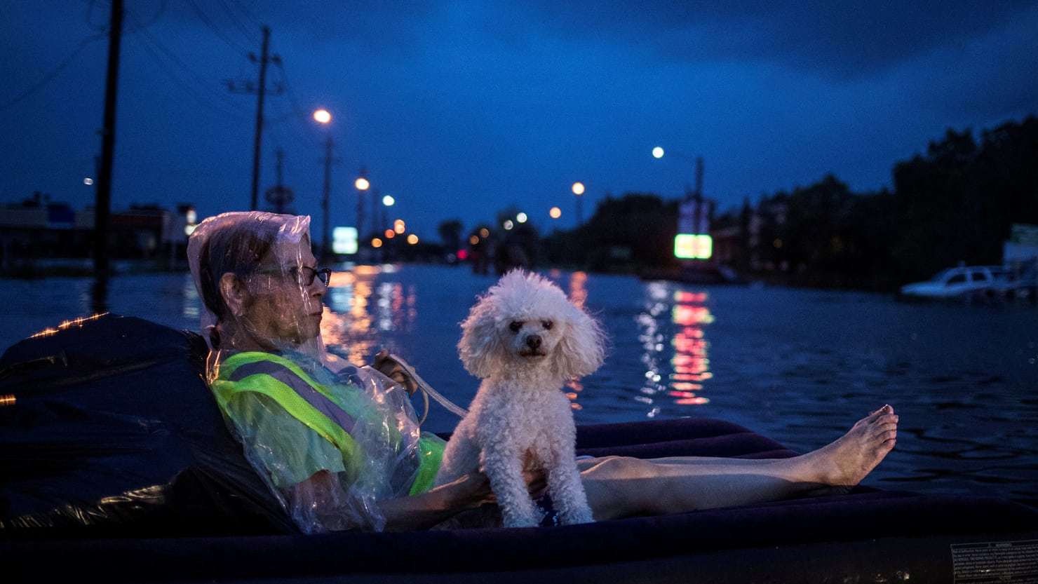 Harvey hurrikán - Az idős asszony és uszkárja gumimatracon