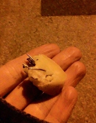 Tűkkel teletűzdelt sajt - ezzel akarják eltüntetni a kutyákat Győrben