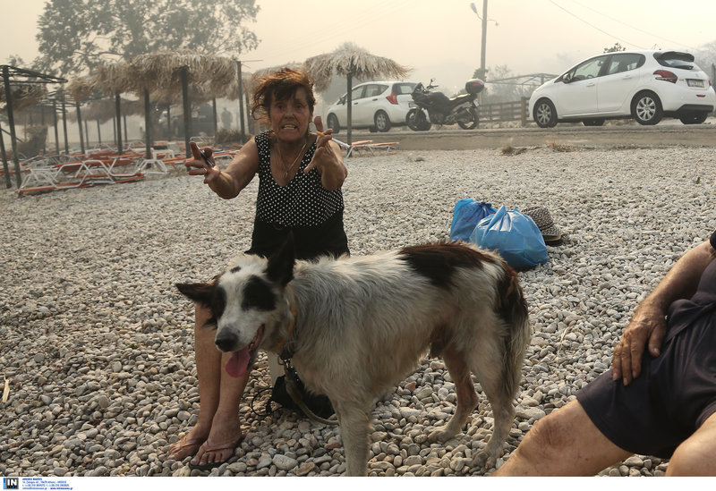 A lakók a kutyáikat is menekítik