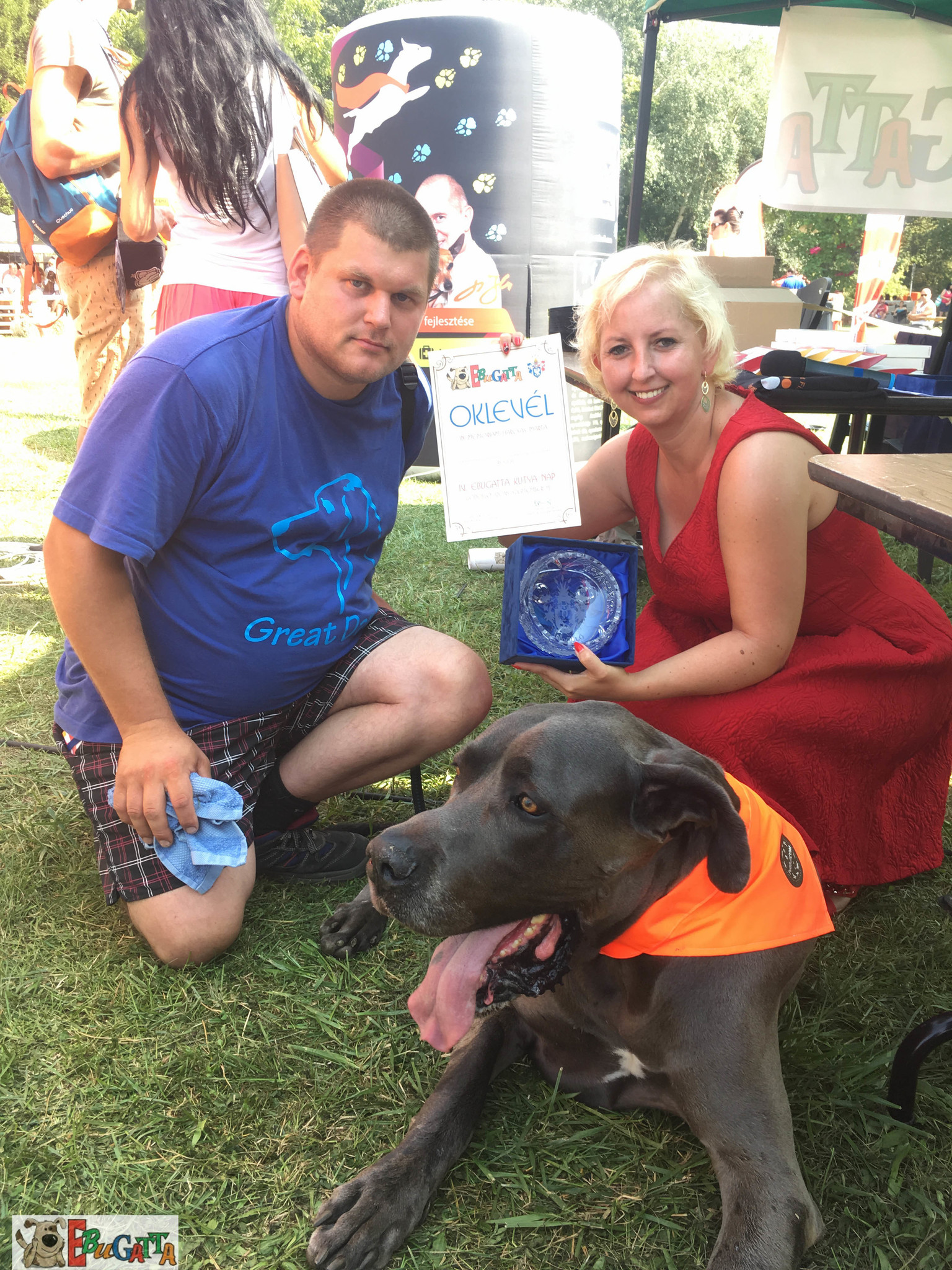 Az egyik tavalyi díjazott kutyus Az egyik tavalyi díjazott kutyus