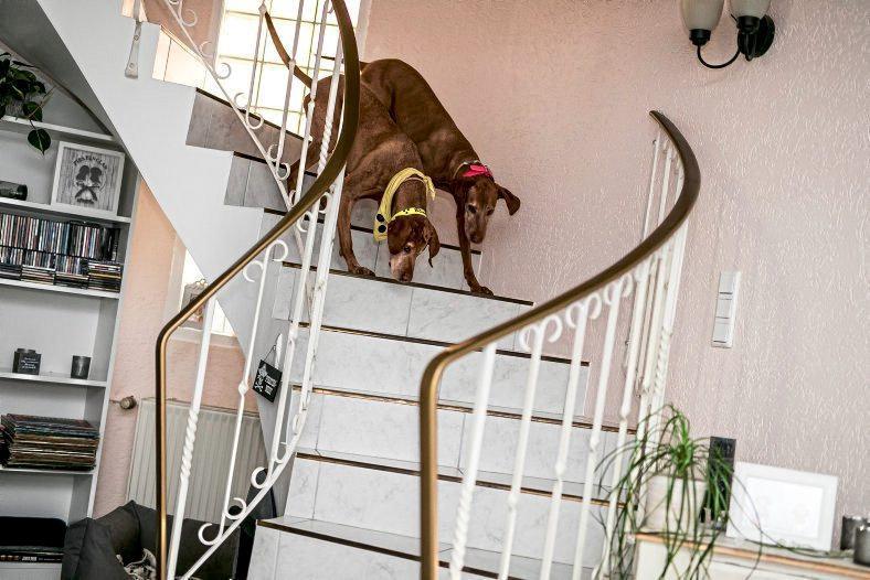 Dorka óvja CJ minden lépését, óvatosan terelgeti őt , ha kell