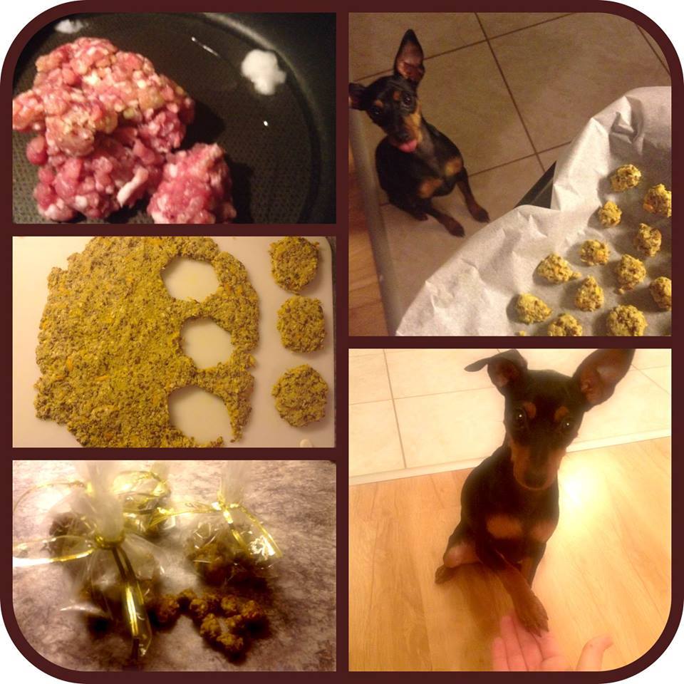 Mindössze pár összetevőből, gyorsan és egyszerűen elkészíthető jutalomfalat