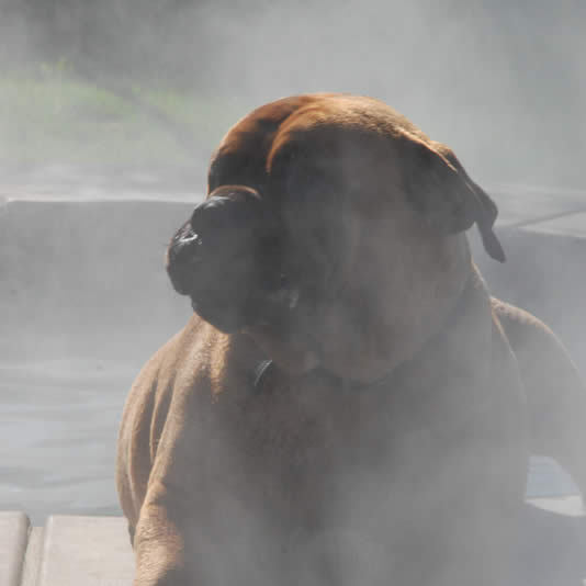 A párásítás üdítően hat!