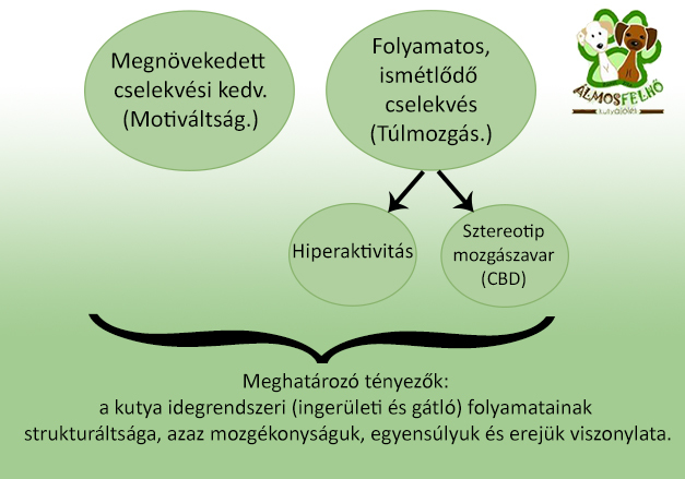 A hiperaktivitást meghatározó tényezők