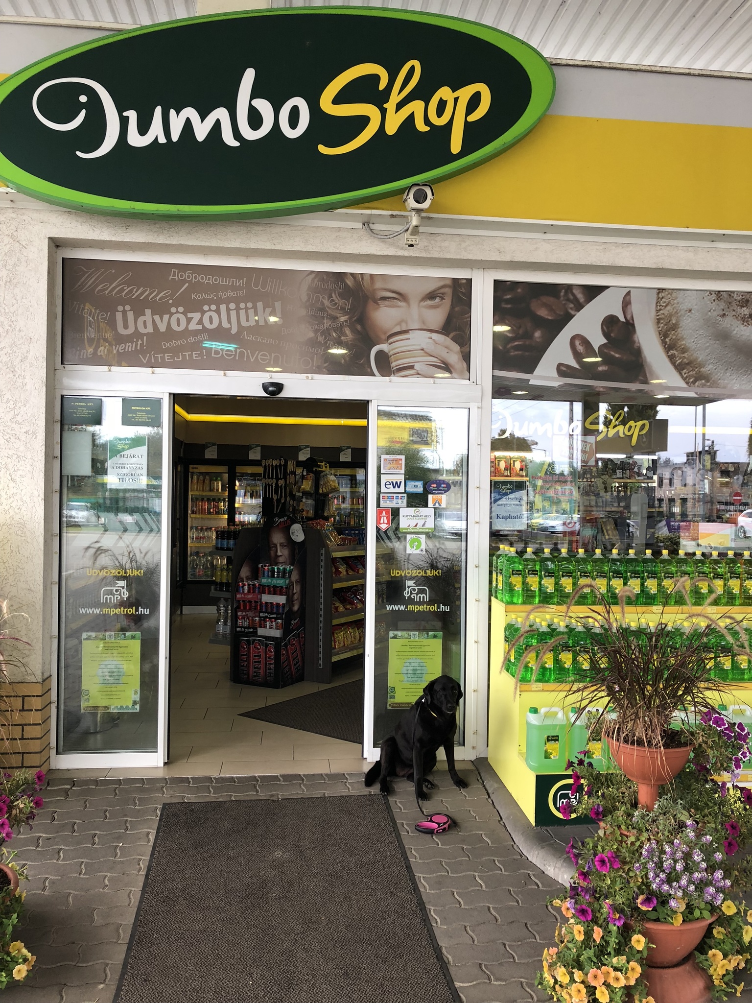 Kutyabarát Mobil Petrol benzinkút bejárata Vác