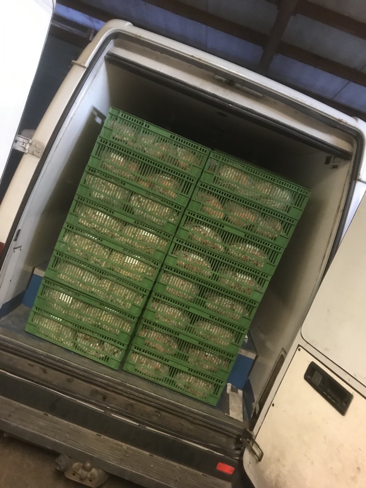 Fagyasztó autókban szállítják ki a megrendelt árut, így az nem olvad ki akkor sem, ha az ország másik feléből rendelt a gazdi