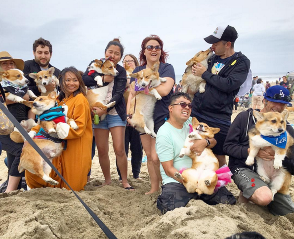 A borongós idő ellenére remek volt a hangulat a tengerparti kutyás találkozón