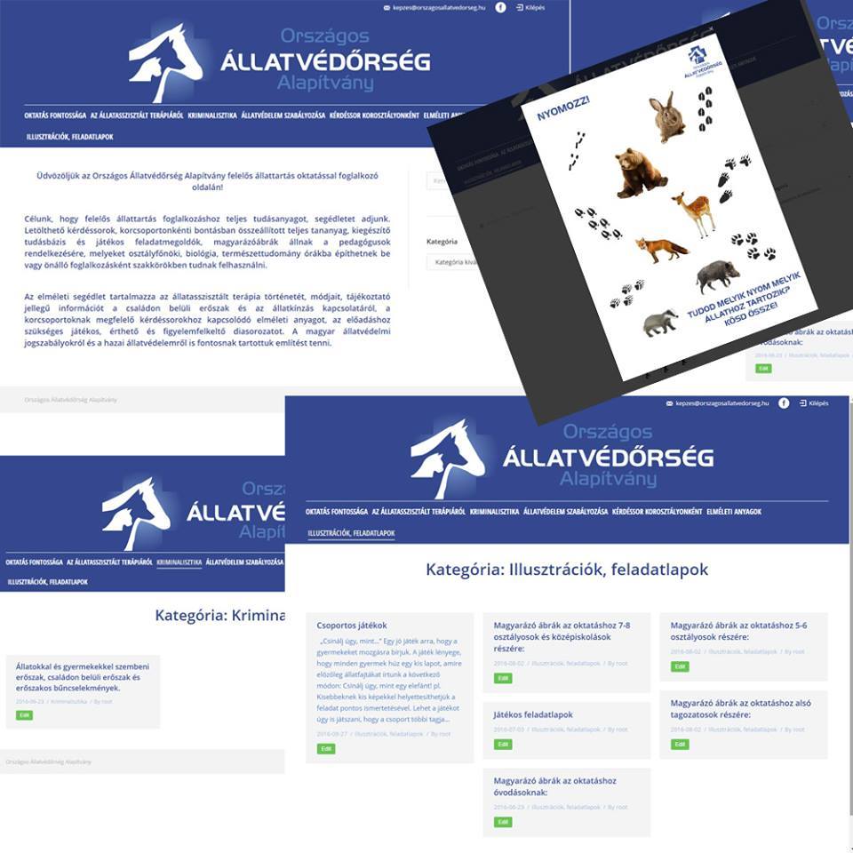 Egy gyors regisztrációt követően elérhető a tananyag 