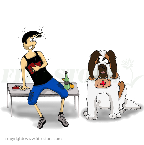 Májvédelem kutyáknál