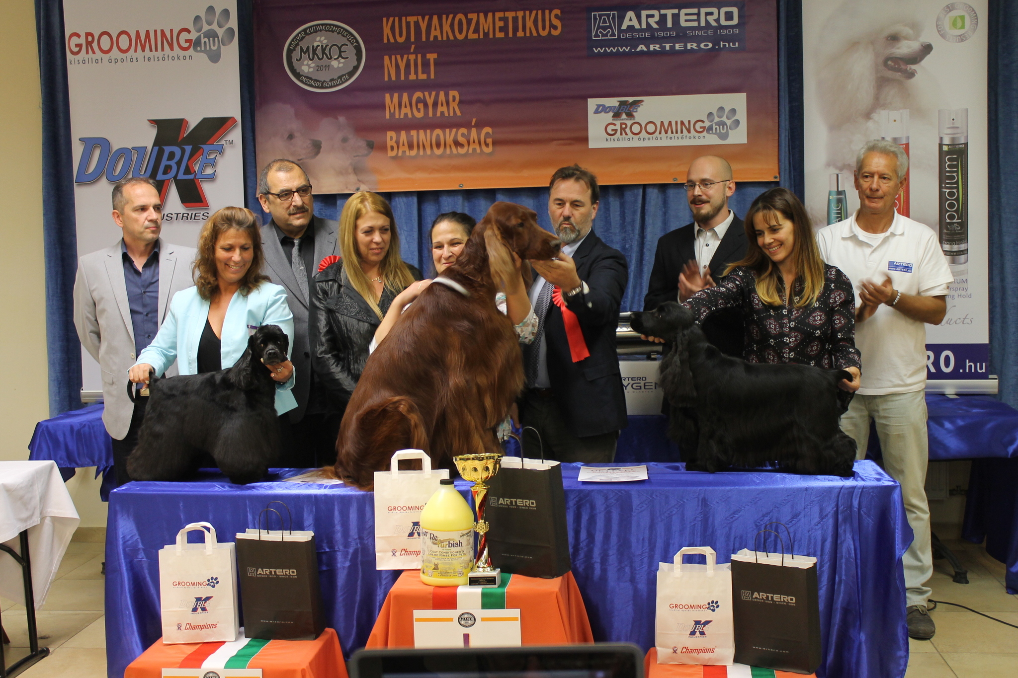 A spániel és szetter kategória legjobbjai