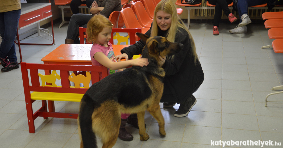 A gyerekek nagyon szeretik Rexet