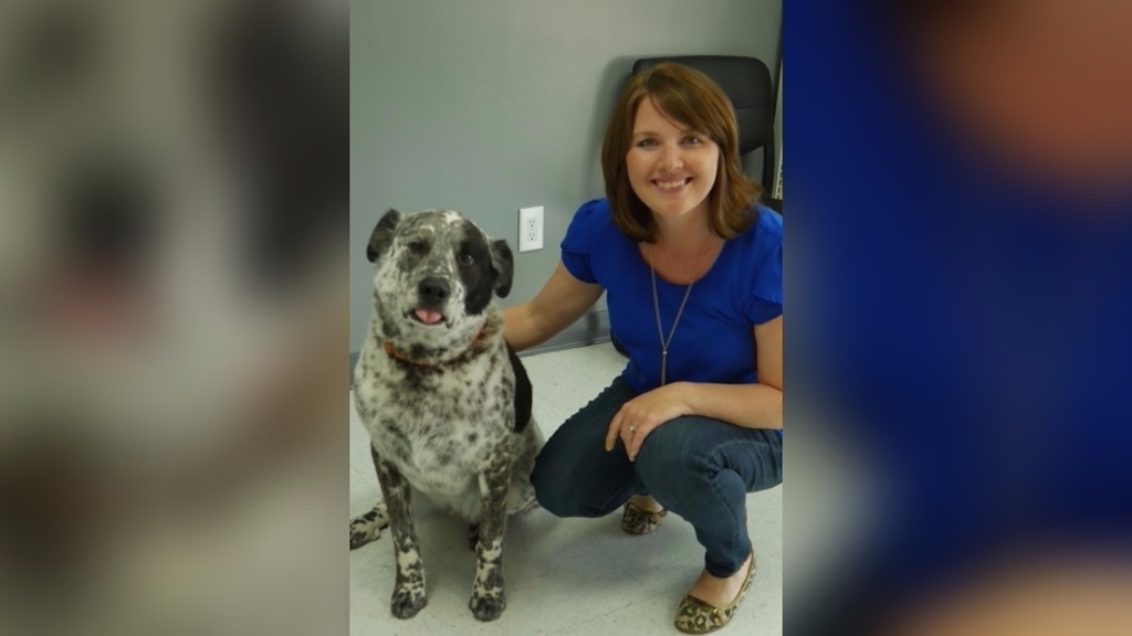 Dr. Lauren Schluterman, a What's My Mutt? applikáció megalkotója és kutyája, Indy