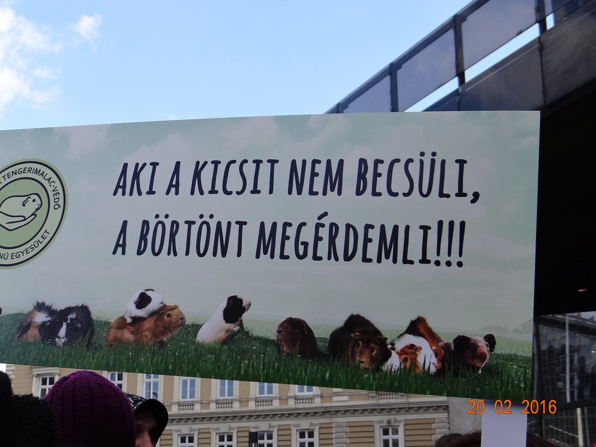 A tengerimalacvédők hatásos, és nem utolsó sorban aranyos molinója