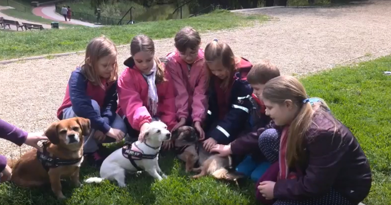 Kutyák és gyerekek - így kellene működnie