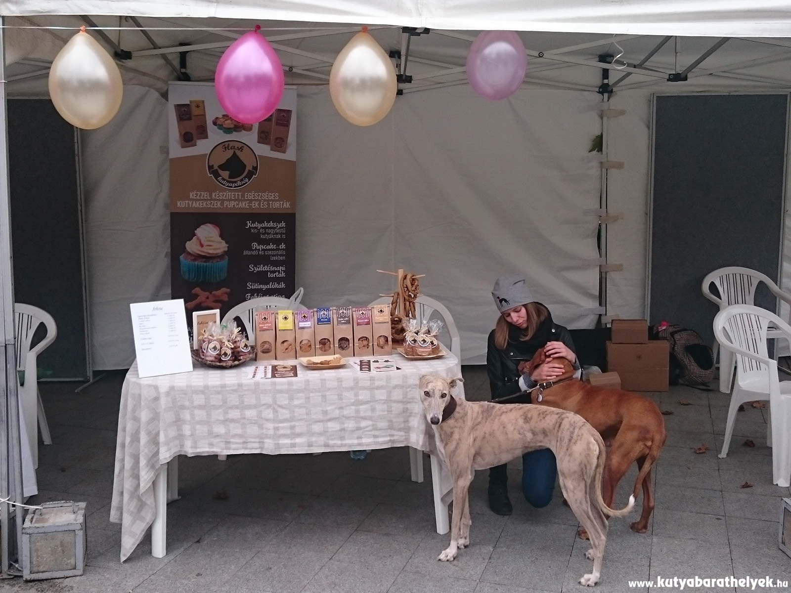 Igazi különleges finomságokat kóstolhattak a kutyák a Flash Kutyapékségnél