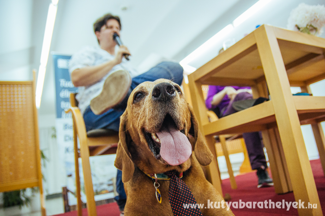 Max is jól érezte magát a reflektorfényben