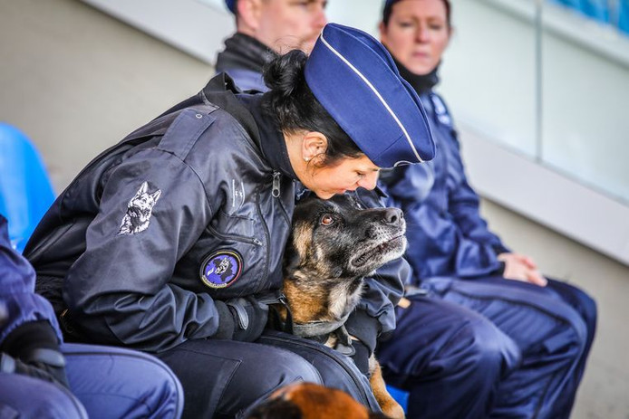 A rendőrkutya és gazdája közötti kötelék különlegesen szoros