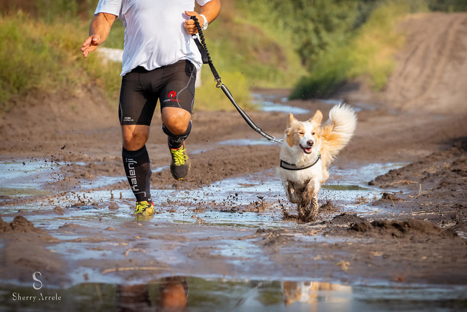 Sár, víz és homok nehezíti a DogAtlonon indulók dolgát