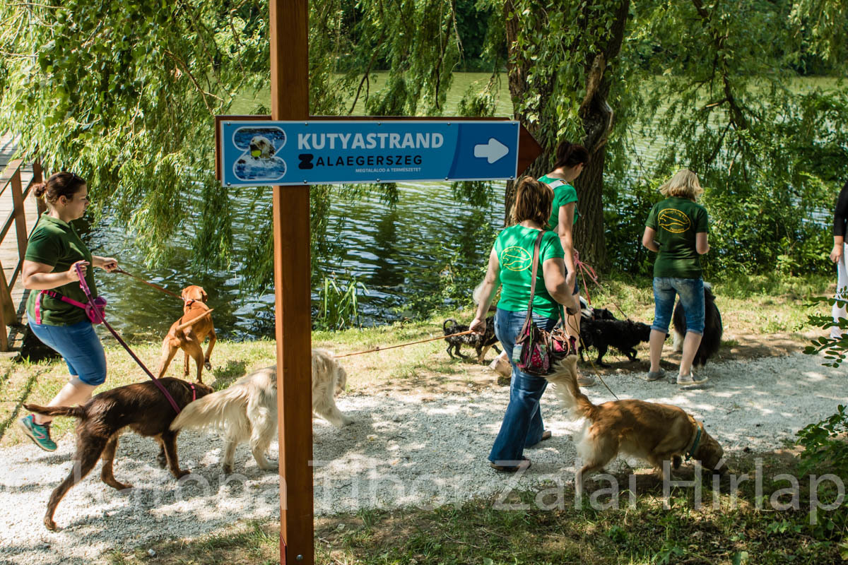 Táblák jelzik a kutyastrandot