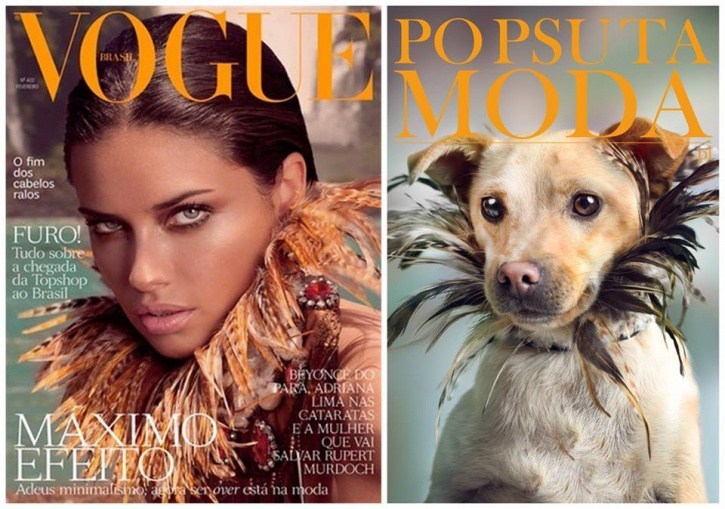 Kutya a címlapon 5 Kutya a címlapon 5