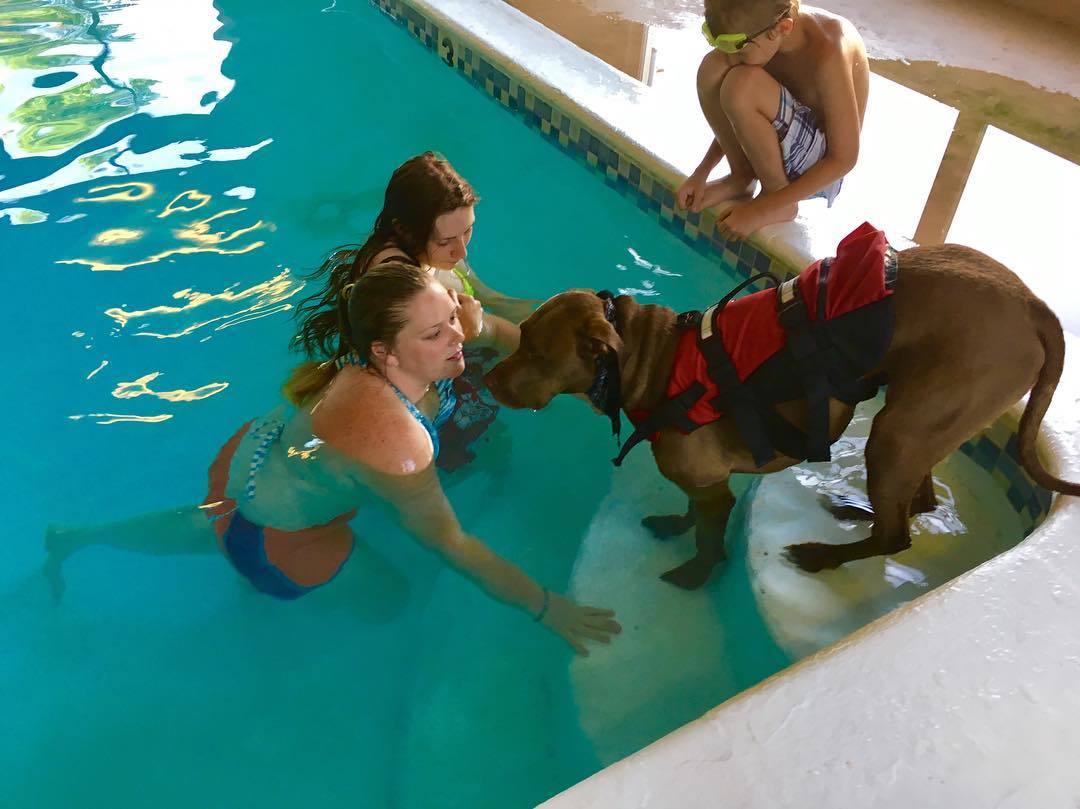 Úszás közben is figyeli gazdáját a segítőkutya