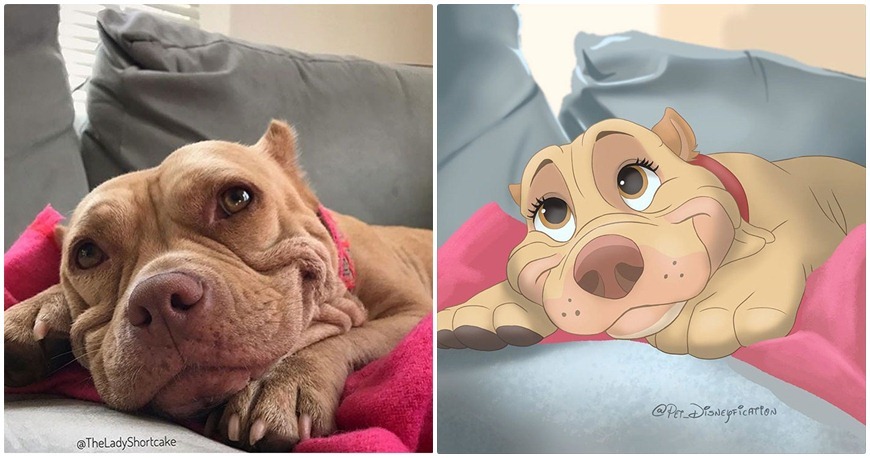 Pet Disneyfication 1