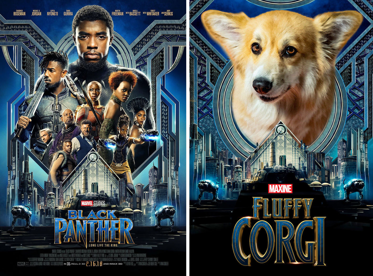 Black Panther - Fluffy Corgi Black Panther - Fluffy Corgi