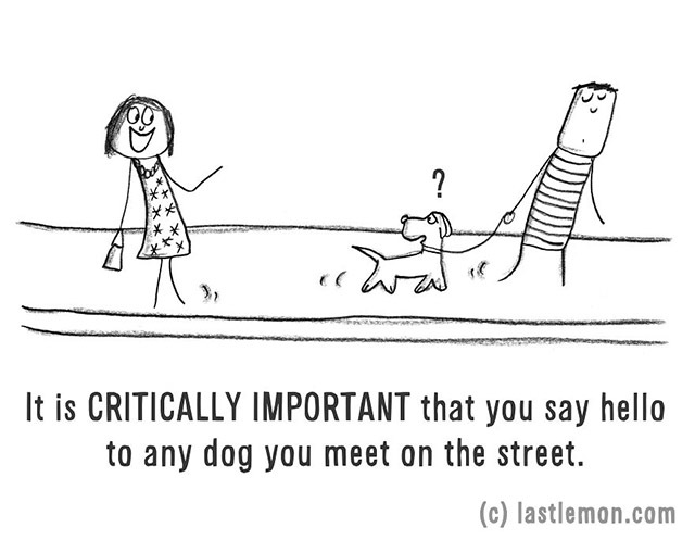 Minden kutyát vidáman köszöntesz az utcán?