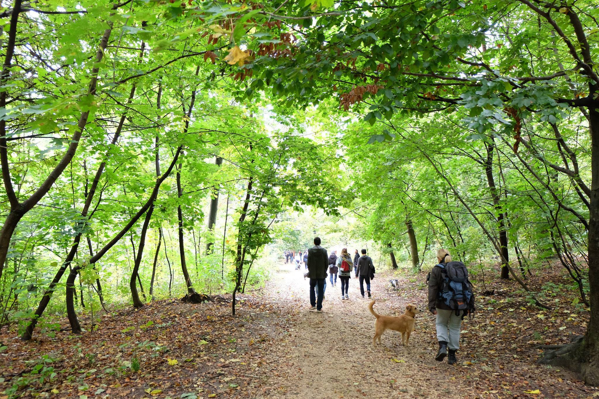 Mozgás a friss levegőn, gyönyörű tájakon - mindezt jótékonysági akcióval kötötte össze a Walking Dog