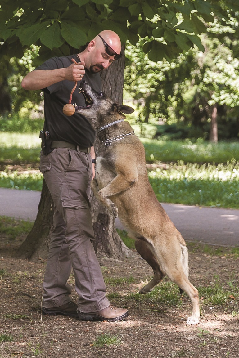 Melo, a nyomkövető kutya újra tele van energiával! 