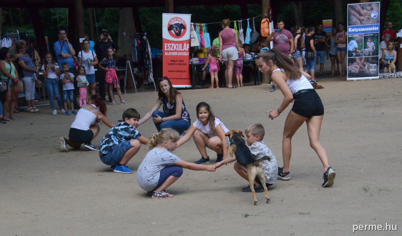 Bemutatók színesítették a találkozót